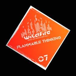 Flammable Thinking