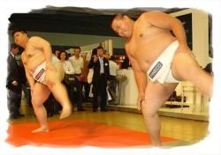 Sumo - Fineco Bank