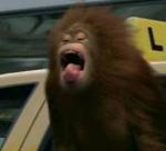 VIRAL VIDEO - Rexona e la bestia che c’è in te