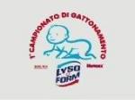 Lysoform lancia il Primo Campionato di Gattonamento