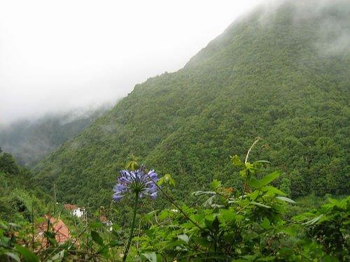 I Trend del 2007? Autenticità, Localismo, Partecipazione!