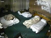 Viral Site - Due modelle occupano il sito web della Diesel