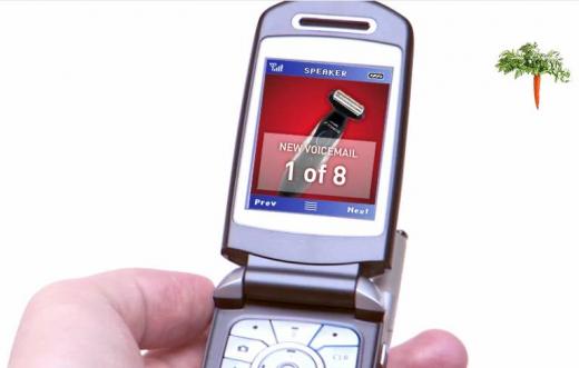 Viral Site - ShaveEverywhere.com by Philips