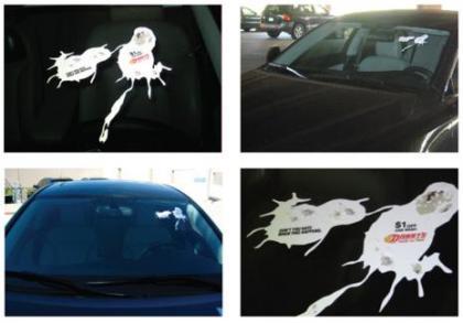 Bird Junk: una guerrilla piovuta dal cielo