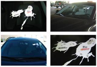 Bird Junk: una guerrilla piovuta dal cielo