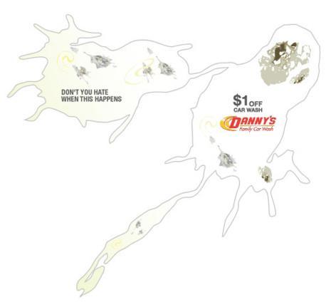 Bird Junk: una guerrilla piovuta dal cielo