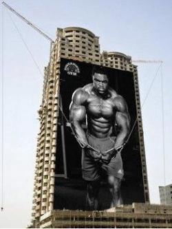 Powerhouse Gym: Corpi in costruzione