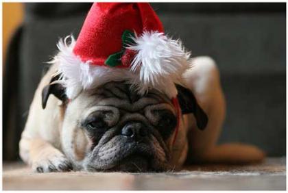 Il_Social_Media_Marketing_natalizio_parte_adesso_una_guida_di_best_practice_3