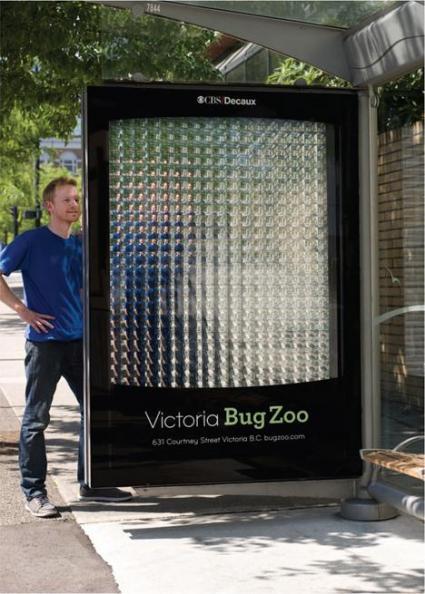 Victoria Bug Zoo: mai visto così!