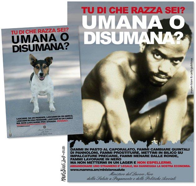 Tu di che razza sei umana o disumana La protesta contro l'abbandono che si modifica in rete