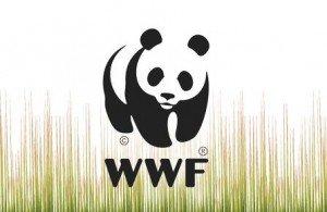 Premio Marketing e mondo no-profit: due opportunità da cogliere!