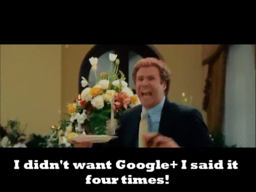 I numeri di Google Plus