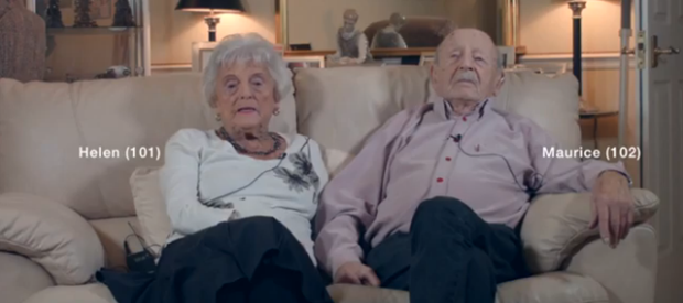 beagle street compagnia assicurativa