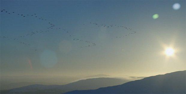 Nel mondo stra-ordinario di IKEA anche le t-shirt volano [VIDEO]