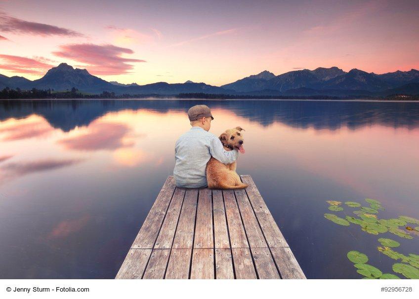 6 trend visivi per il 2016