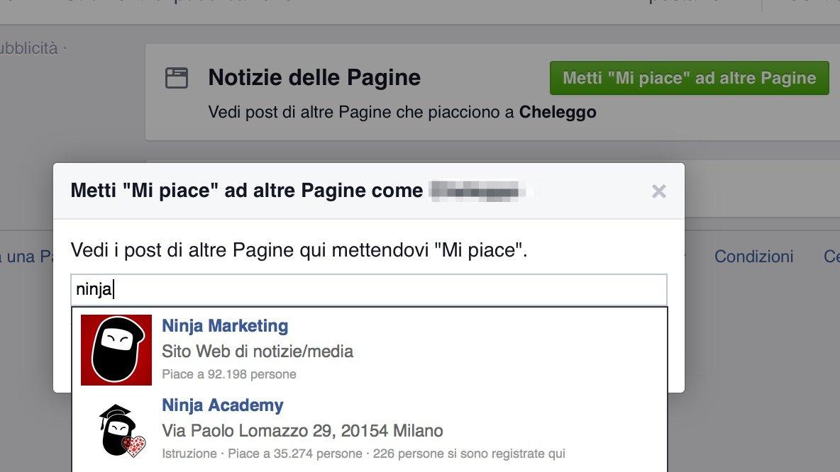 Guida Facebook Business Manager 16