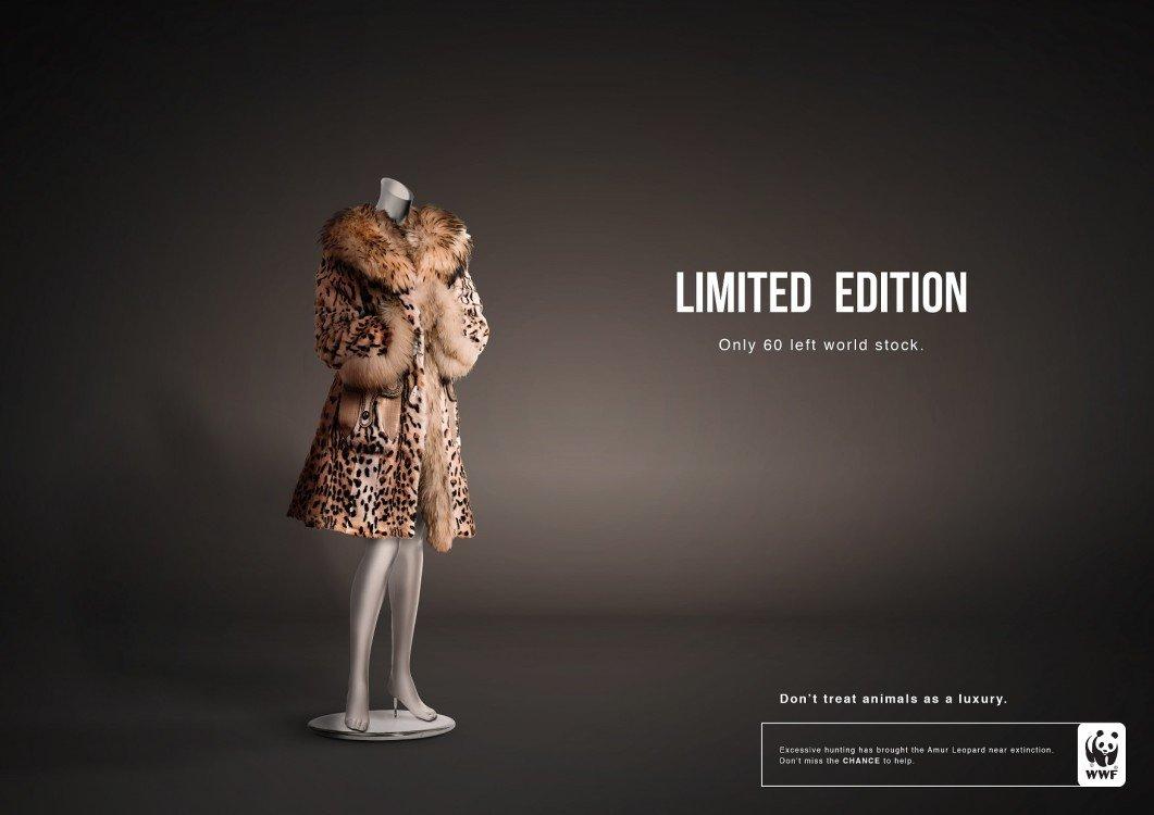 wwf_migliori_annunci_stampa_della_settimana