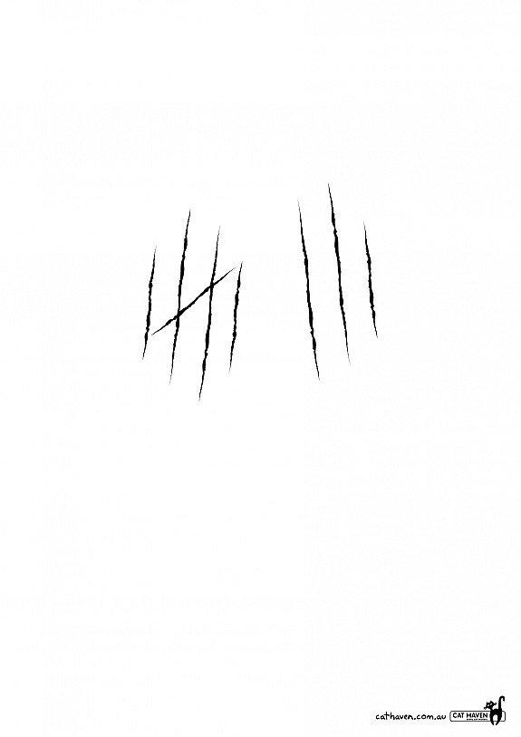 KPMG_Transavia_Cat Haven_i_migliori_annunci_stampa_della_settimana7