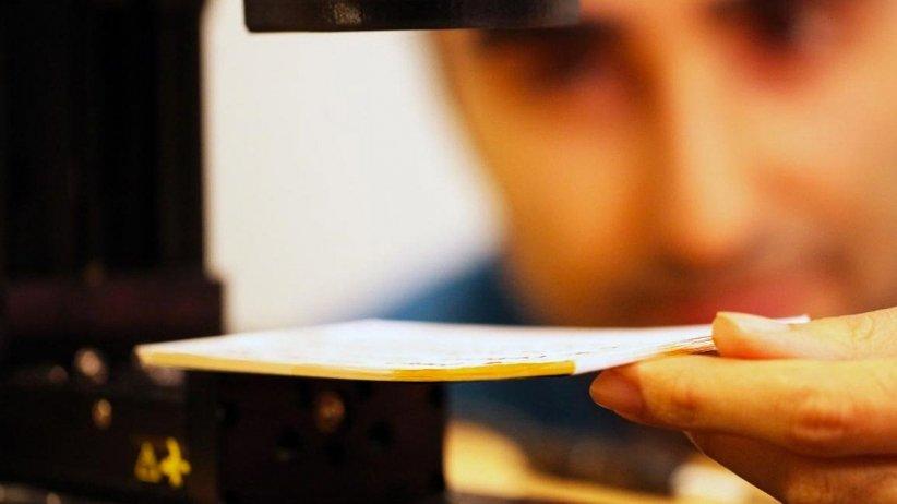 Le_radiazioni_Terahertz_per_leggere_oltre_il_visibile