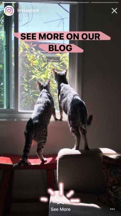 Instagram Stories: da oggi puoi aggiungere Boomerang, menzioni e link