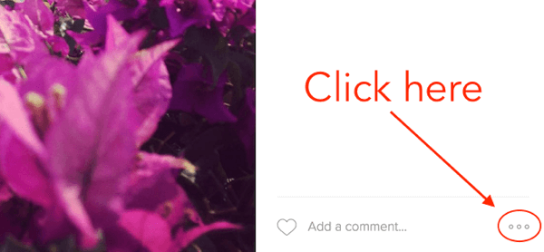 gh-share-instagram-embed-code-on-facebook-1