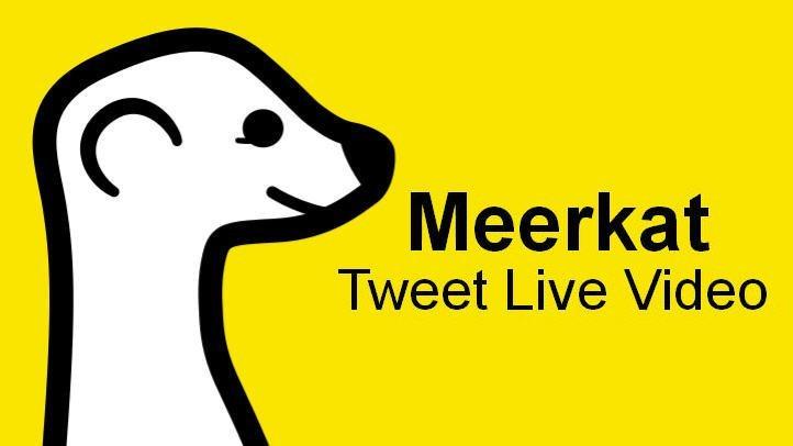 Meerkat