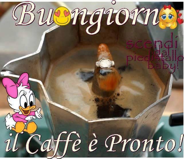 13240068_1177863755591623_4960343418450104131_n