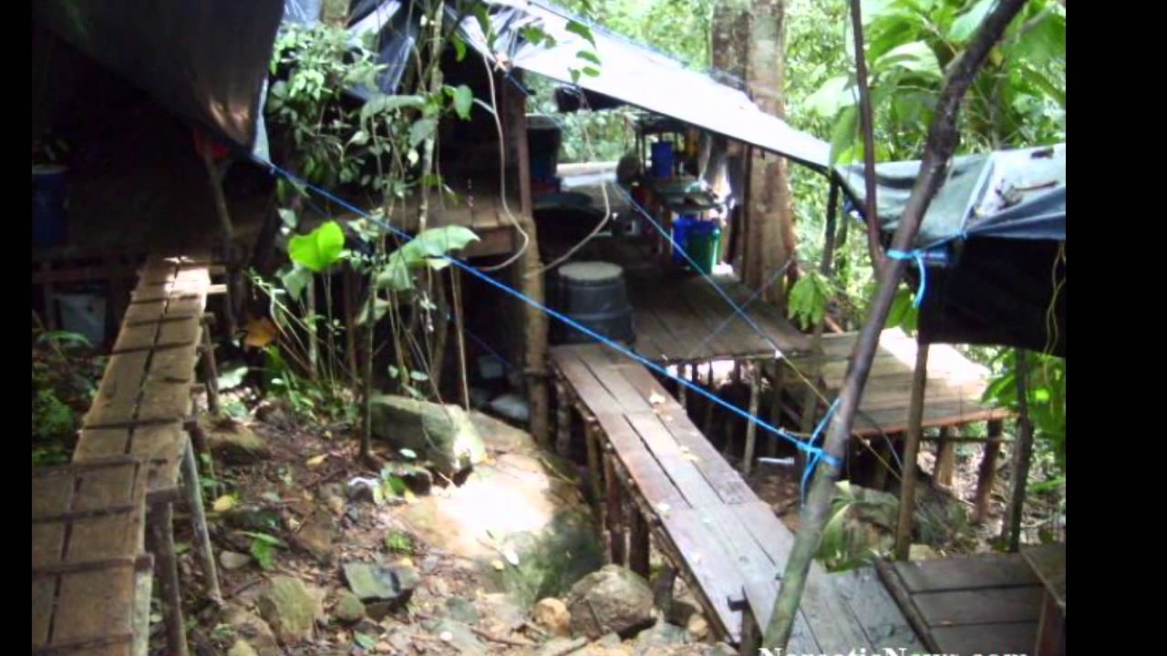 Una rara foto scattata a Tranquilandia