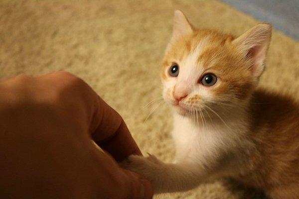 8_consigli_per_una_strategia_social_efficace_2