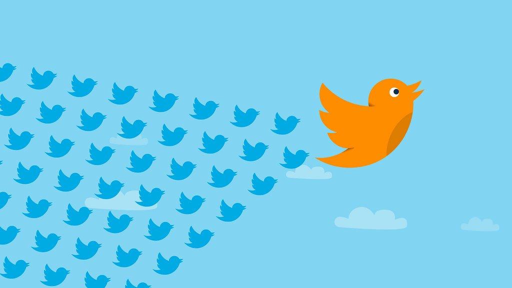 influencer marketing e social media