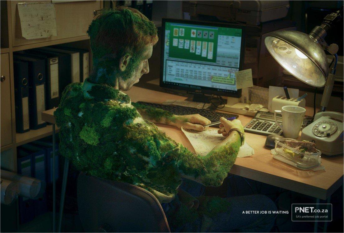 17265_pnet_moss_aotw