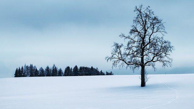 guida_definitiva_agli_hashtag_di_iInstagram_per_le_tue_fotografie_artistiche