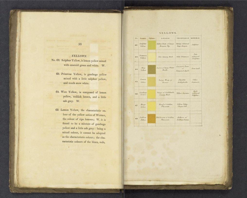 Nomenclatura dei colori Gialli (2)