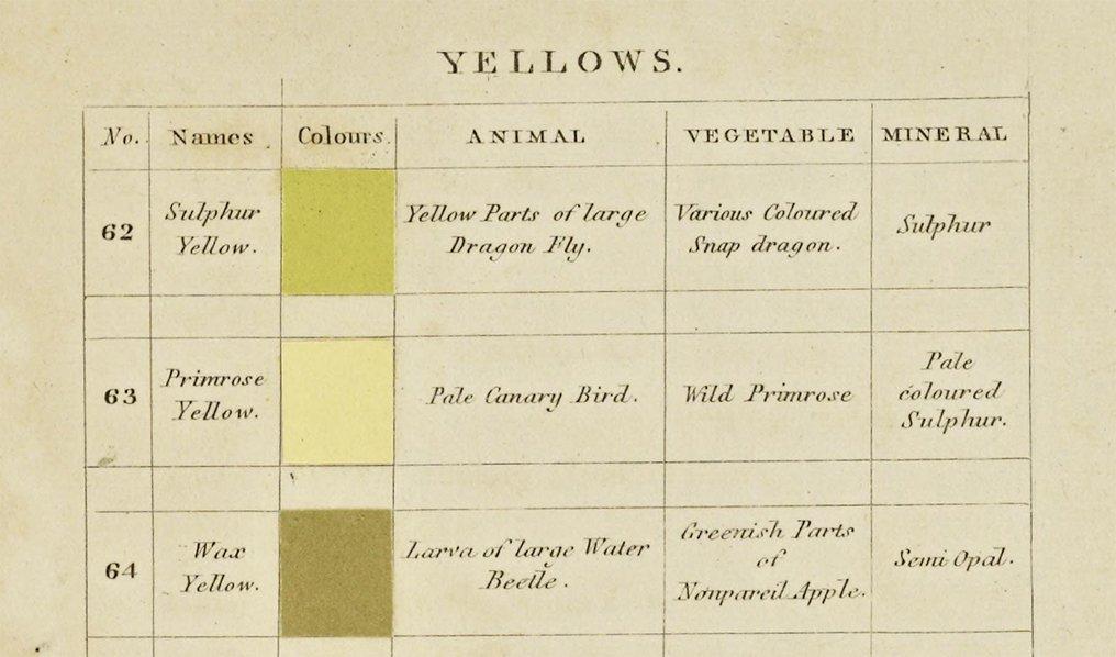 Nomenclatura dei colori Gialli (1)