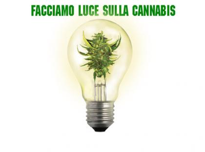 Cannabis Tipo Forte - Terza Edizione, Bologna