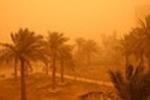 Sawafi Search Engine - La tempesta di sabbia dell’Arabia online