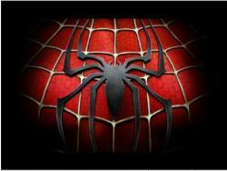 VIRAL VIDEO – Spiderman vs. Letizia Moratti: La battaglia per le Colonne di S. Lorenzo