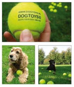 Cani promoter: Come un animale può influenzare il comportamento di acquisto