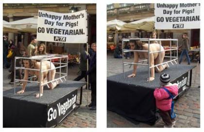 PETA: Mummy Pigs