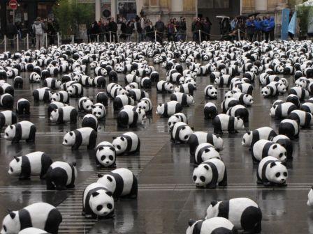 WWF: le ultime brillanti campagne