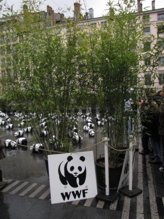 WWF: le ultime brillanti campagne