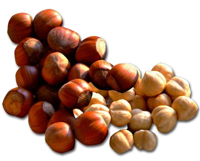 Nocciola di Giffoni