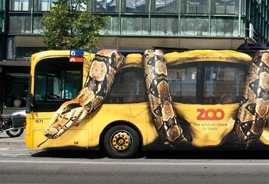 Copenhagen: serpente gigantesco aggredisce autobus