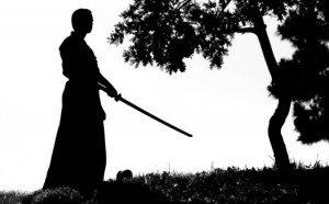 Ninja che vanno, ninja che restano: il saluto di Kemestry