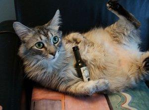 Buon Anno! E non postate quando siete ubriachi!