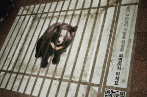 Ambient Marketing contro la cattura dell'orso tibetano