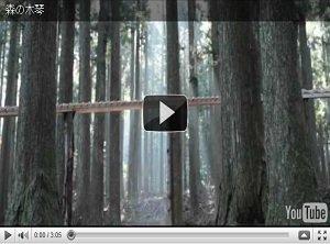 Uno spot naturalistico per il nuovo cellulare in legno di Sharp [VIDEO]