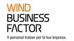 Logo Wind Business Factor
