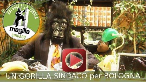 Elezioni amministrative 2011: candidature virali!