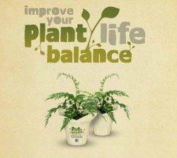 plantlife